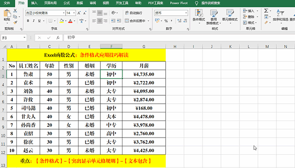 办公软件使用之Excel 2019中使用条件格式分析数据的7类方法教学