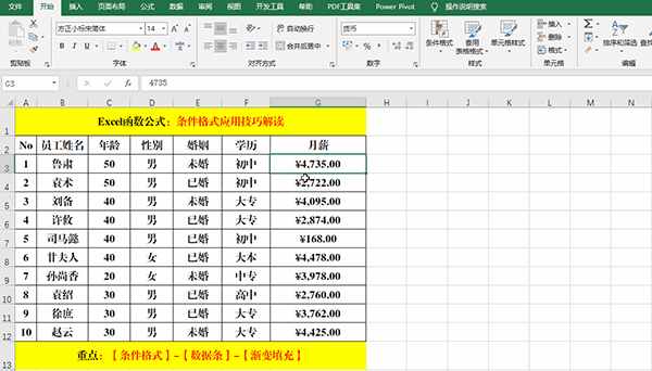 办公软件使用之Excel 2019中使用条件格式分析数据的7类方法教学