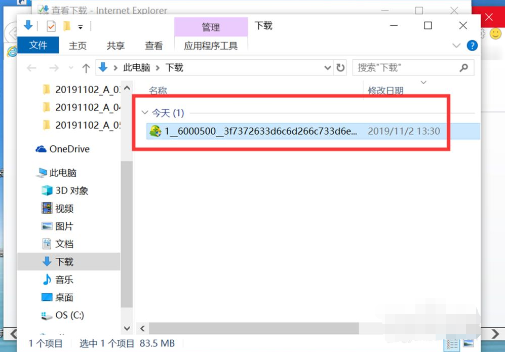 [系统教程]Win10专业版IE浏览器下载的文件在哪？