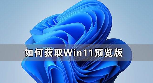 [系统教程]如何获取Win11预览版 win11预览版怎么加入