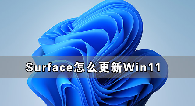 [系统教程]Surface怎么更新Win11 Surface笔记本更新Win11教程