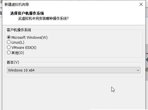 [系统教程]Win11系统怎么安装到vm虚拟机详细图文教程