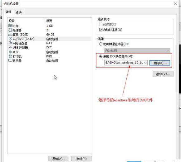 [系统教程]Win11系统怎么安装到vm虚拟机详细图文教程