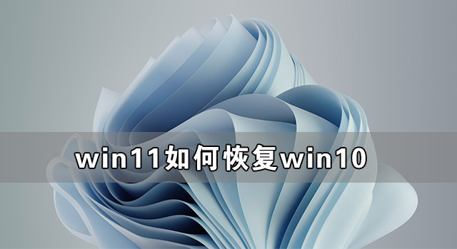 [系统教程]Win11如何恢复到Win10 Win11恢复到Win10教程