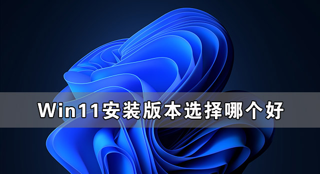 [系统教程]Win11安装版本选择哪个好 怎么选择Win11安装版本