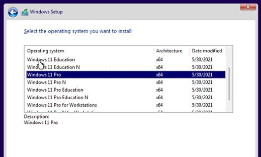 [系统教程]Win11安装版本选择哪个好 怎么选择Win11安装版本