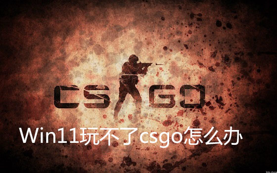 [系统教程]Win11玩不了csgo怎么办？Win11玩不了csgo的解决方法