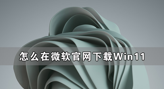 [系统教程]怎么在微软官网下载Win11 如何从微软官网下载Win11