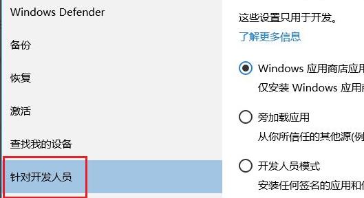 [系统教程]Win11开发者预览打不开怎么办？Win11开发者预览打不开解决方法