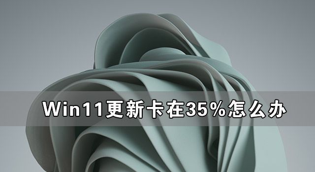 [系统教程]Win11更新卡在35%怎么办 Win11更新卡在35%的解决办法