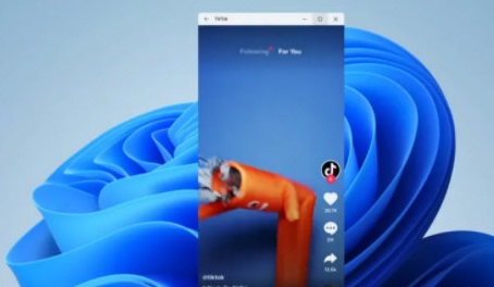 [系统教程]Windows11怎么看都抖音？Windows11看抖音方法详细介绍