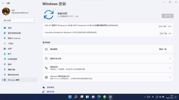[系统教程]Windows11 22000.100更新完闪屏怎么解决？