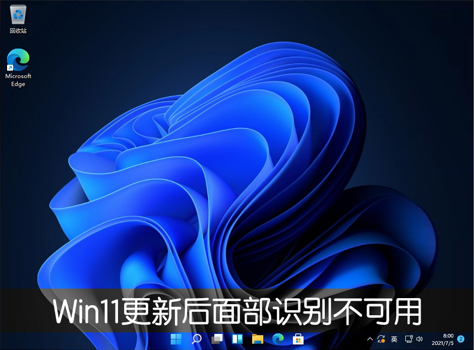 [系统教程]Win11更新22000.100后面部识别不可用怎么办？