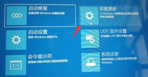 [系统教程]Win11退回Win10按键没反应怎么办？