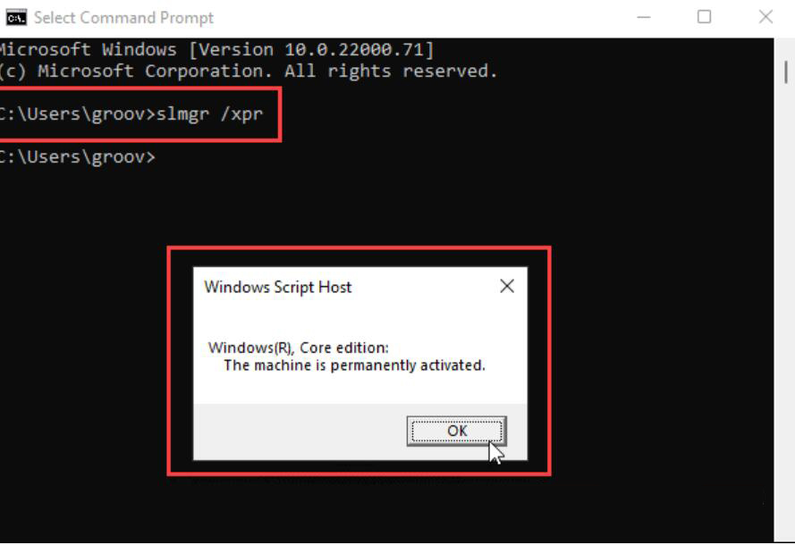 [系统教程]Win11系统怎么查看系统激活状态？