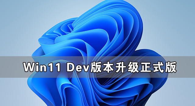 [系统教程]Win11 Dev版本可以升级正式版吗？