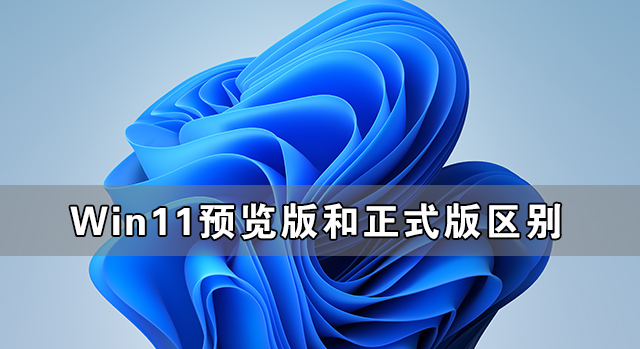 [系统教程]Win11预览版和正式版有什么区别