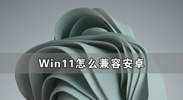 [系统教程]Win11怎么兼容安卓 Win11兼容安卓原理解析