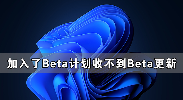 [系统教程]Windows系统加入了Beta计划却收不到Win11 Beta的更新