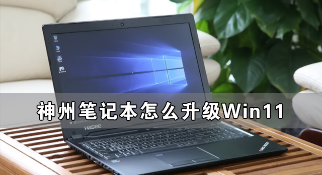 [系统教程]神州笔记本怎么升级Win11 神舟电脑升级Win11详细教程