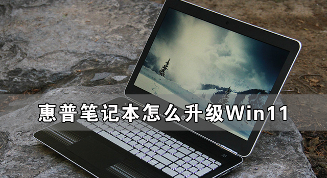 [系统教程]惠普笔记本怎么升级Win11 惠普笔记本升级Win11详细教程