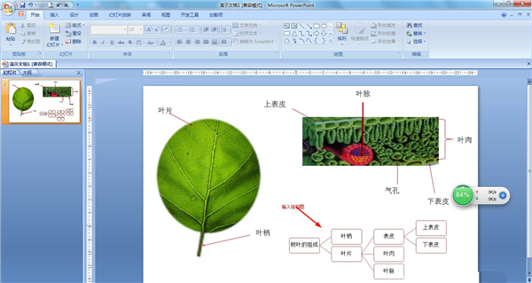 办公软件使用之PPT如何制作结构图？PPT制作结构图教程