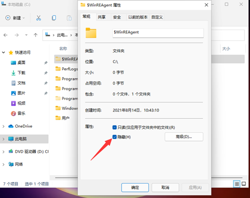 [系统教程]Win11如何查看所隐藏的文件？Win11查看隐藏的文件的方法