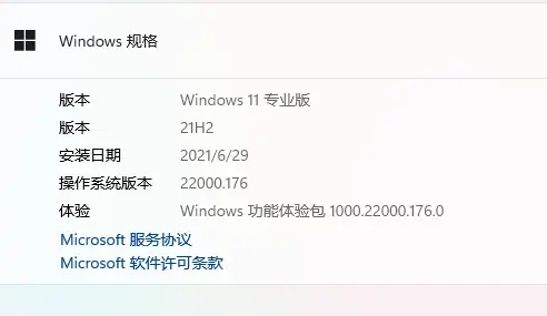 [系统教程]Win11更新22449.1000失败 Win11 22449.1000更新安装失败解决方法