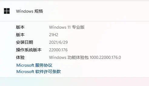 [系统教程]被踢出Dev通道后怎么更新Win11 22449.1000版本教程