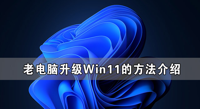 [系统教程]老电脑无法升级Win11 老电脑升级Win11的方法介绍