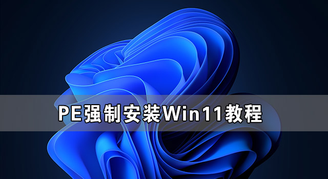 [系统教程]PE强制安装Win11教程 怎么用PE强制安装Win11