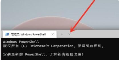 [系统教程]Win11命令提示符怎么打开 Win11命令提示符打开方法