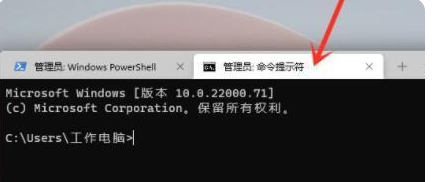 [系统教程]Win11命令提示符怎么打开 Win11命令提示符打开方法