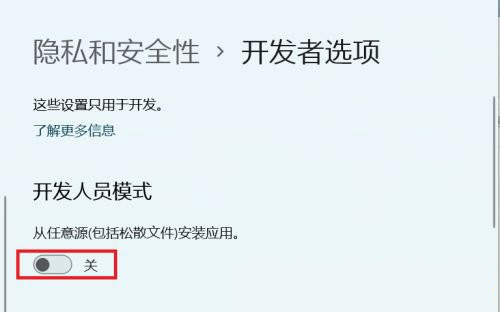 [系统教程]Win11怎么开启开发者选项？Win11打开开发人员选项教程