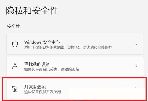 [系统教程]Win11怎么开启开发者选项？Win11打开开发人员选项教程