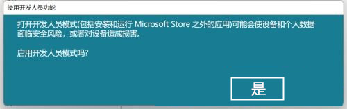 [系统教程]Win11怎么开启开发者选项？Win11打开开发人员选项教程