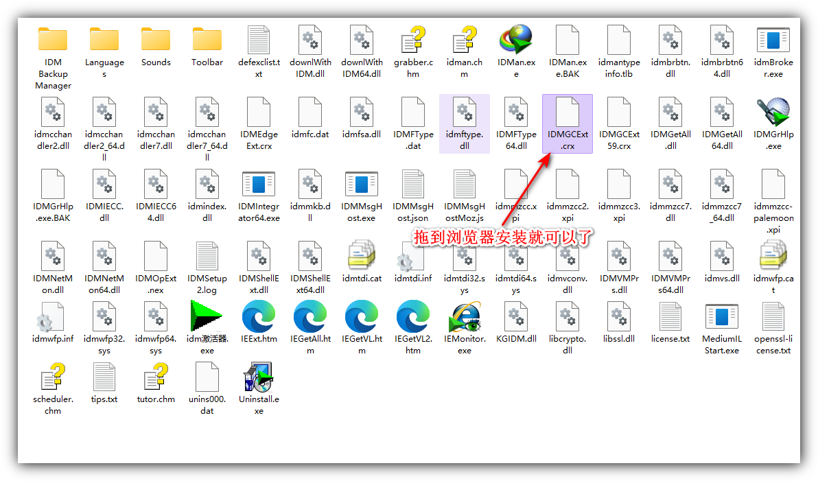 [系统教程]Win11系统谷歌的IDM插件用不了怎么解决？