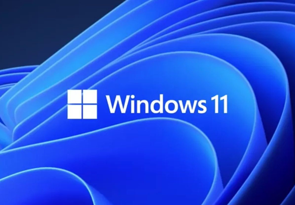 [系统教程]Win11的更新文件在哪里？Win11更新文件的位置