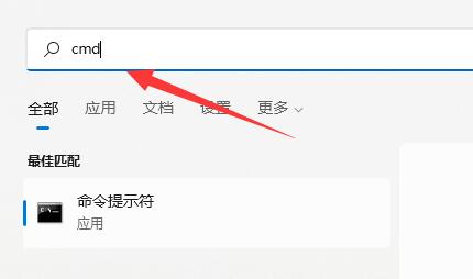 [系统教程]Win11如何查看内存频率？Win11查看内存频率的方法