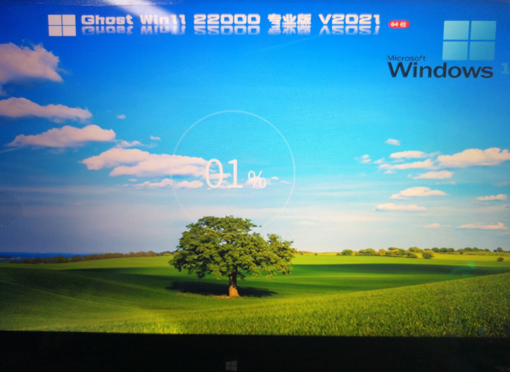 Windows11专业版u盘安装教程