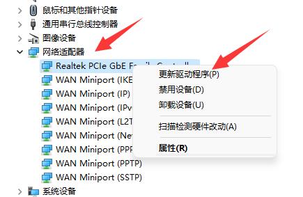 [系统教程]Win11系统以太网没有有效的ip配置怎么解决？