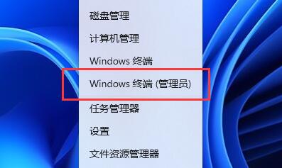 [系统教程]Win11照片查看器闪退怎么办？Win11照片查看器闪退的解决方法