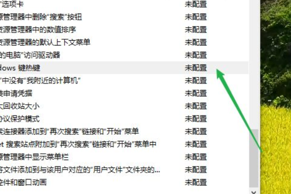 [系统教程]Win10win键被禁用怎么办？Win10win键被禁用的解决方法