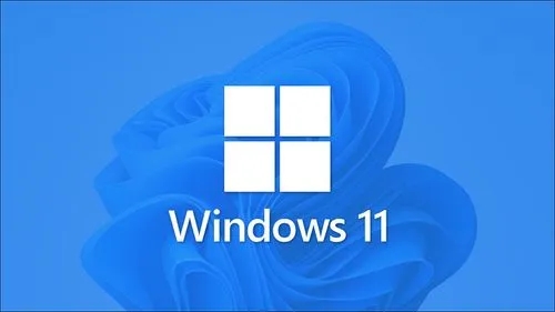 [系统教程]Win11显示不满足系统要求,转至设置了解详细信息 文字怎么去除？