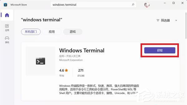 [系统教程]Win11开启Windows终端提示“找不到文件wt.wxw”怎么解决？