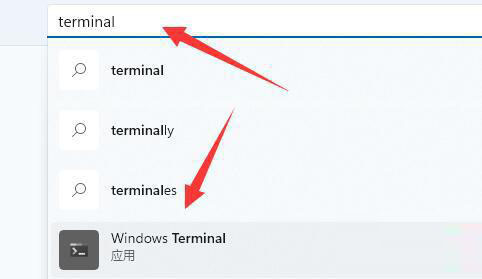 [系统教程]Win11总弹出找不到wt.exe提示怎么办？小编教你两种方法快速解决！