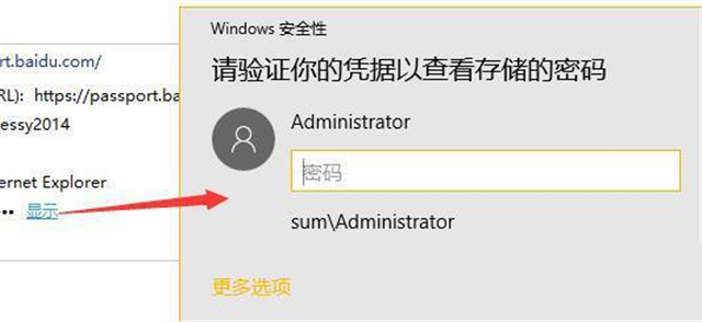 [系统教程]Win11网络凭据账户和密码在哪里查看？