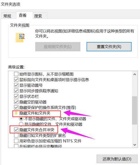 [系统教程]Win11文件夹选项在哪里打开？