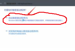 [系统教程]Win11键盘无法输入怎么回事？Win11键盘无法输入任何东西