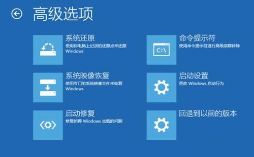 [系统教程]Win11启动修复无效怎么办 Win11启动修复无法修复